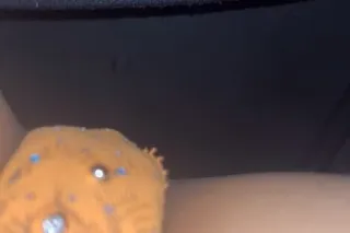 ALL BACKSHOTS😻 - Image 4